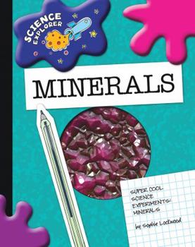 Paperback Minerals Book