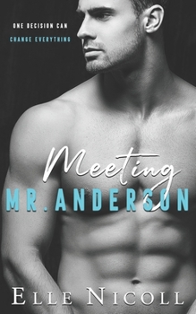 Meeting Mr Anderson - Book #1 of the Men