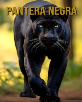 Paperback Pantera negra: Datos Interesantes e Imágenes Sobre Pantera negra [Spanish] Book