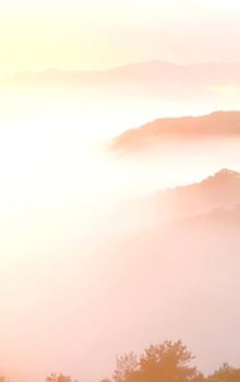 Hardcover At Dusk Blank NoteBook: VanHelsing DayPlanner's & NoteBooks Book