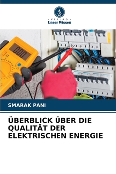 Überblick Über Die Qualität Der Elektrischen Energie (German Edition)