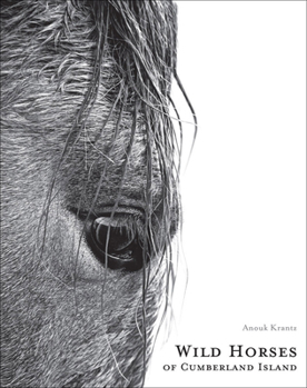 Hardcover Wild Horses of Cumberland Island Book
