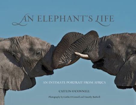 Hardcover Elephant's Life: An Intimate Portrait from Africa Book