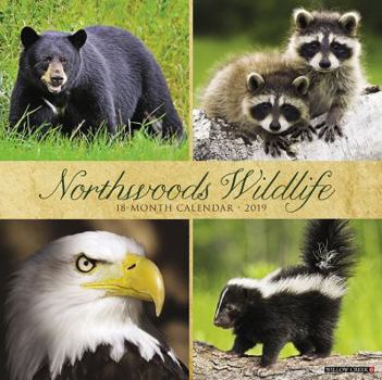 Calendar Northwoods Wildlife 2019 Wall Calendar Book