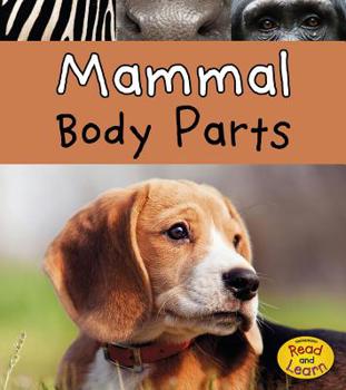 Paperback Mammal Body Parts Book