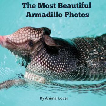 Paperback The Most Beautiful Armadillo Photos Book