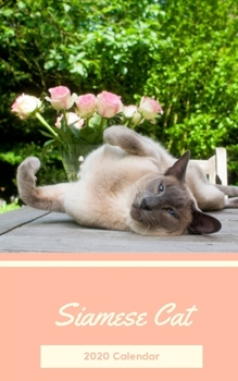Siamese Cat 2020 Calendar: Mini Pocket Daily Weekly Monthly Yearly Planner for Siamese Cat Owner Lovers