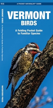 Misc. Vermont Birds: An Introduction to Familiar Species Book