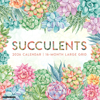 Calendar Succulents--Large Grid 2026 Wall Calendar Book
