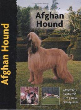 Afghan Hound - Book  of the Comprehensive Owner's Guide