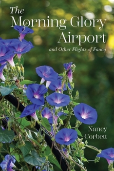 Paperback The Morning Glory Airport and Other Flights of Fancy Book