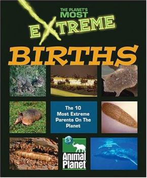 Hardcover The Planet's Most Extreme - Births Book
