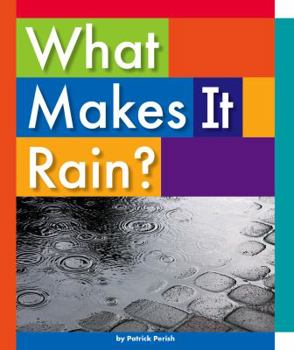 Library Binding What Makes It Rain? Book