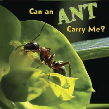 Board book Can an Ant Carry Me? Book