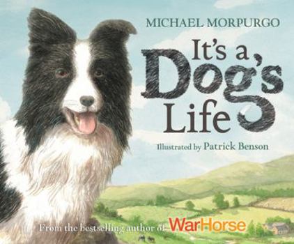 Paperback It's a Dog's Life Book