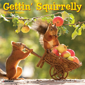 Calendar Gettin' Squirrelly 2025 7 X 7 Mini Wall Calendar Book