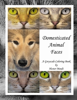 Paperback Domesticated Animal Faces: A Greyscale Coloring Book