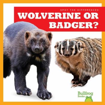 Paperback Wolverine or Badger? Book