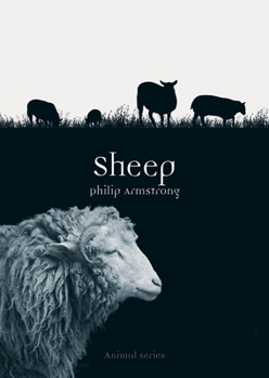 Sheep - Book  of the Animal Series