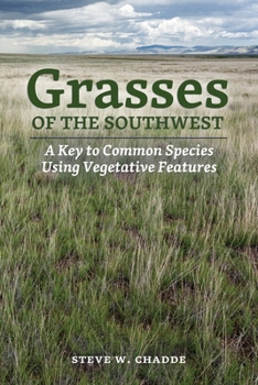 Paperback Grasses of the Southwest: A Key to Common Species Using Vegetative Features Book