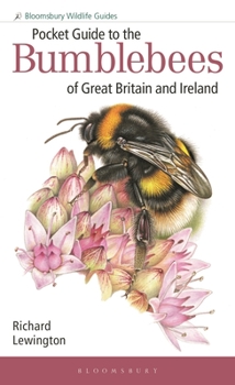 Paperback Pocket Guide to the Bumblebees of Great Britain and Ireland Book