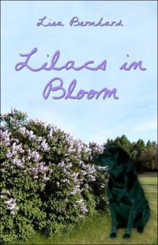 Paperback Lilacs In Bloom Book