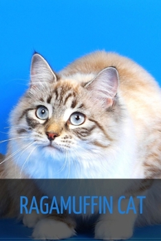 Paperback Ragamuffin Cat Book