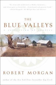 Paperback The Blue Valley: A Collection of Stories Book