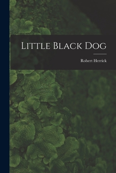 Paperback Little Black Dog Book