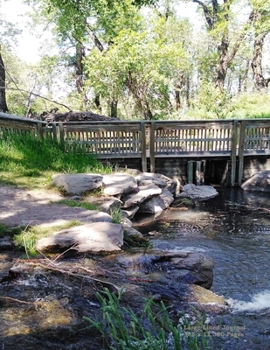 Paperback Large Lined Journal 8.5 x 11 300 Pages: Creek Bridge Scenic Cover Book