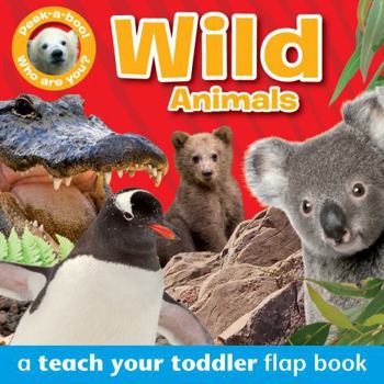 Peek-A-Boo - Wild Animals: A Teach Your Toddler Flap Book