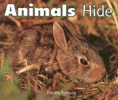 Paperback Animals Hide Book