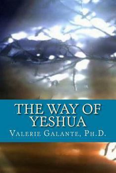 Paperback The Way of Yeshua Book