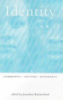 Paperback Identity: Community, Culture and Difference Book