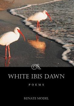 Hardcover White Ibis Dawn Book
