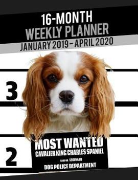 Paperback 2019-2020 Weekly Planner - Most Wanted Cavalier King Charles Spaniel: Daily Diary Monthly Yearly Calendar Large 8.5" x 11" Schedule Journal Organizer Book