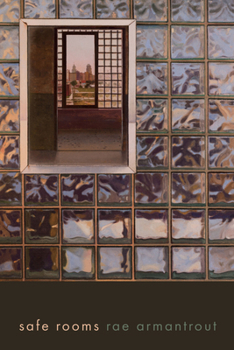 Paperback Safe Rooms Book