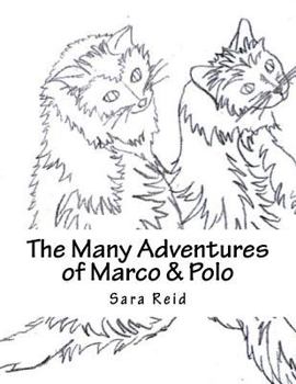 Paperback The Many Adventures of Marco & Polo Book