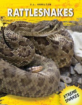 Rattlesnakes - Book  of the Xtreme Snakes