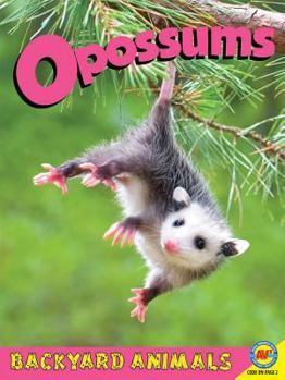Opossums (Backyard Animals) - Book  of the Backyard Animals