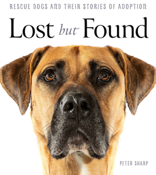 Paperback Lost But Found Book