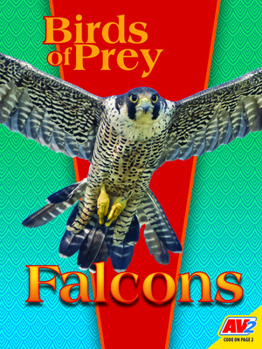 Library Binding Falcons Book