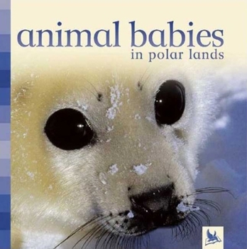 Board book Animal Babies in Polar Lands Book