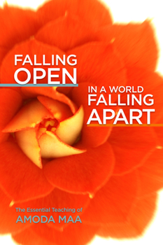 Paperback Falling Open in a World Falling Apart: The Essential Teaching of Amoda Maa Book