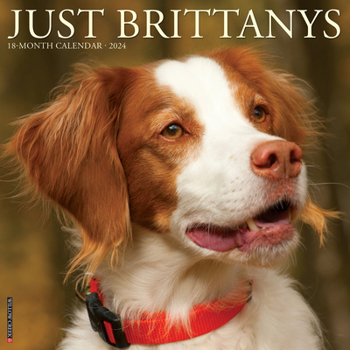 Calendar Just Brittanys 2024 12 X 12 Wall Calendar Book