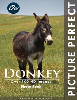Paperback Donkey: Picture Perfect Photo Book