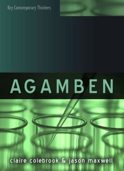 Agamben - Book  of the Key Contemporary Thinkers (Polity)