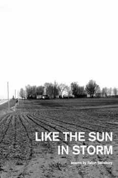 Paperback Like the Sun in Storm Book