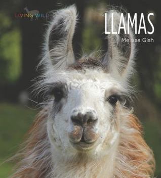 Llamas - Book  of the Living Wild