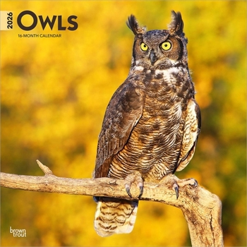 Calendar Owls 2026 12 X 24 Inch (Hanging) Monthly Square Wall Calendar Plastic-Free Book